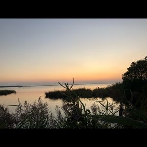 Meet your Posher, Sofia